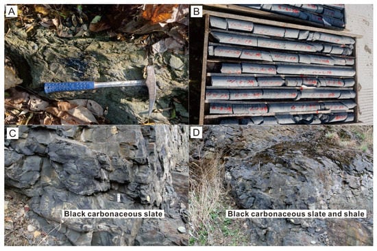 Minerals | Free Full-Text | The Role of Reductive Carbonaceous ...