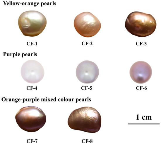 The cultured pearl samples investigated in this study. The pearls