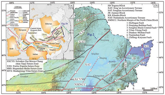 Ophiolites in the Xing'an-Inner Mongolia accretionary belt of the