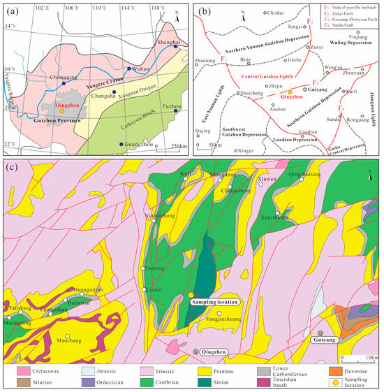 Minerals | Free Full-Text | The Paleoecological Environment during the ...