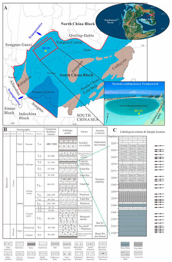 Petrology and Geochemistry Features of the Middle Triassic Anisian