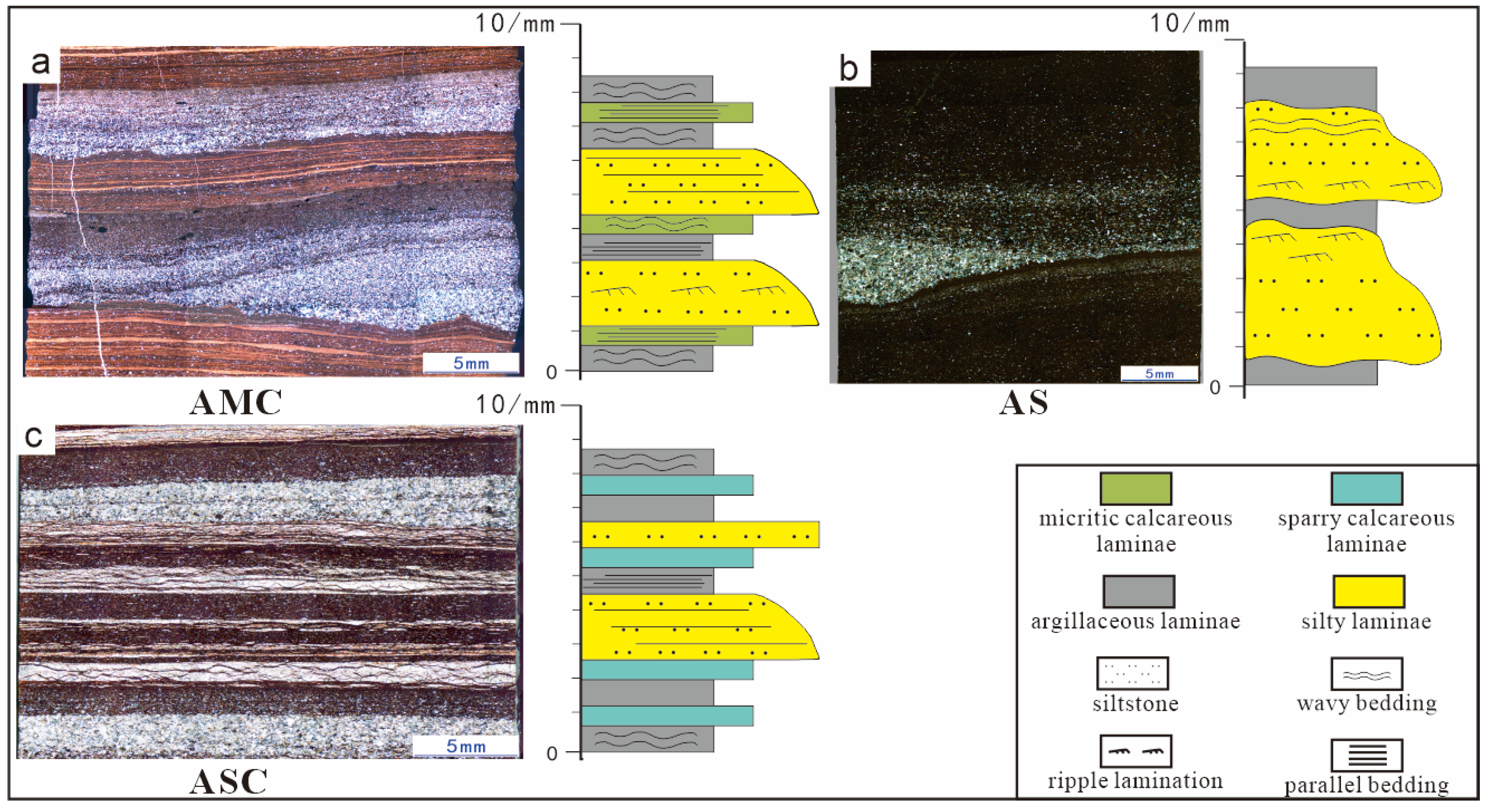 Lamination Rocks Sedimentary Characteristics and Formation Mechanisms of Fine-Grained ...