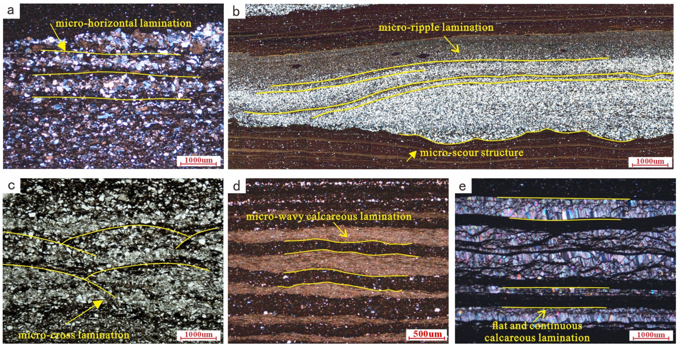 Lamination Rocks Sedimentary Characteristics and Formation Mechanisms of Fine-Grained ...