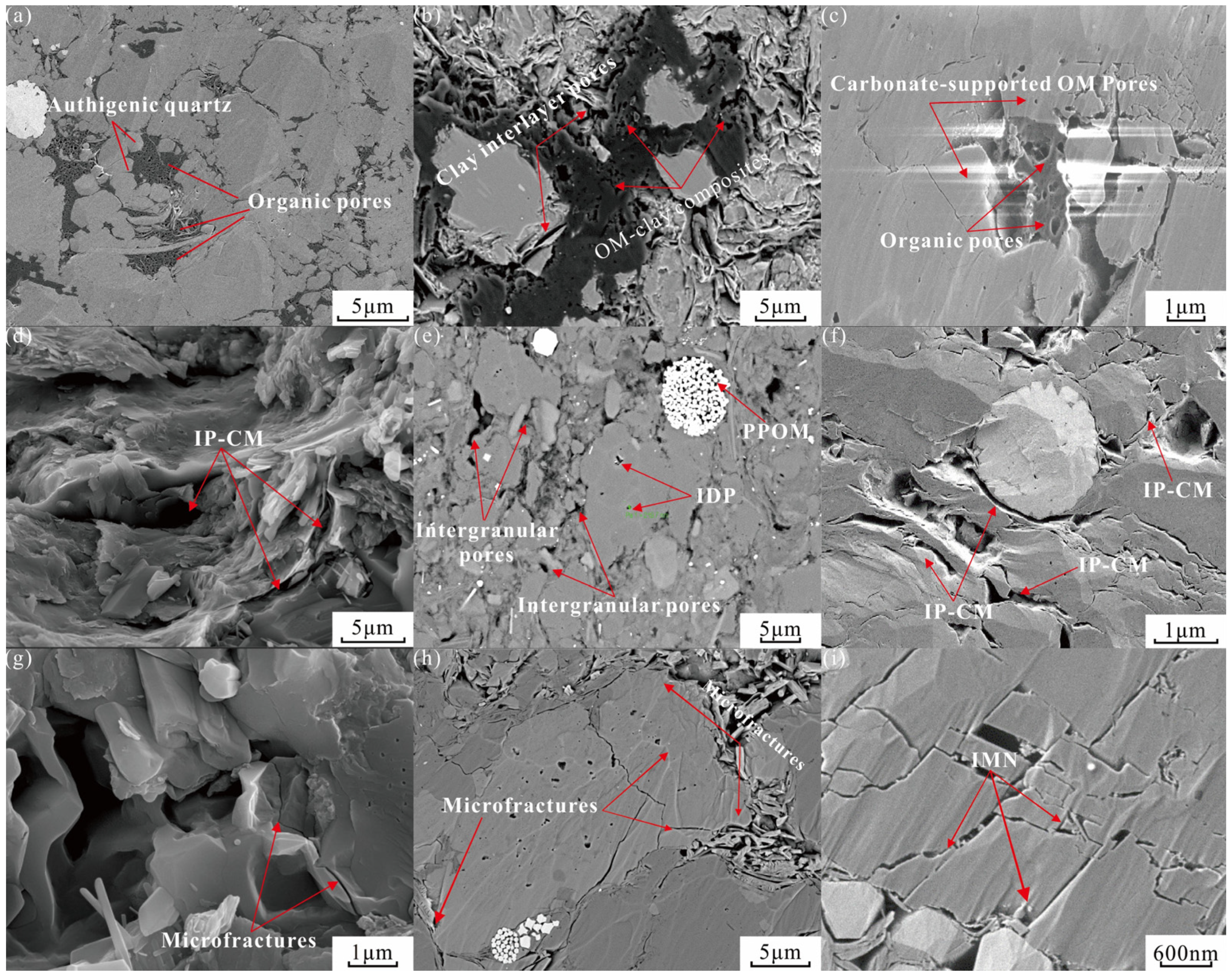 Control of Sedimentary Environment on Pore Structure and Its Evolution ...