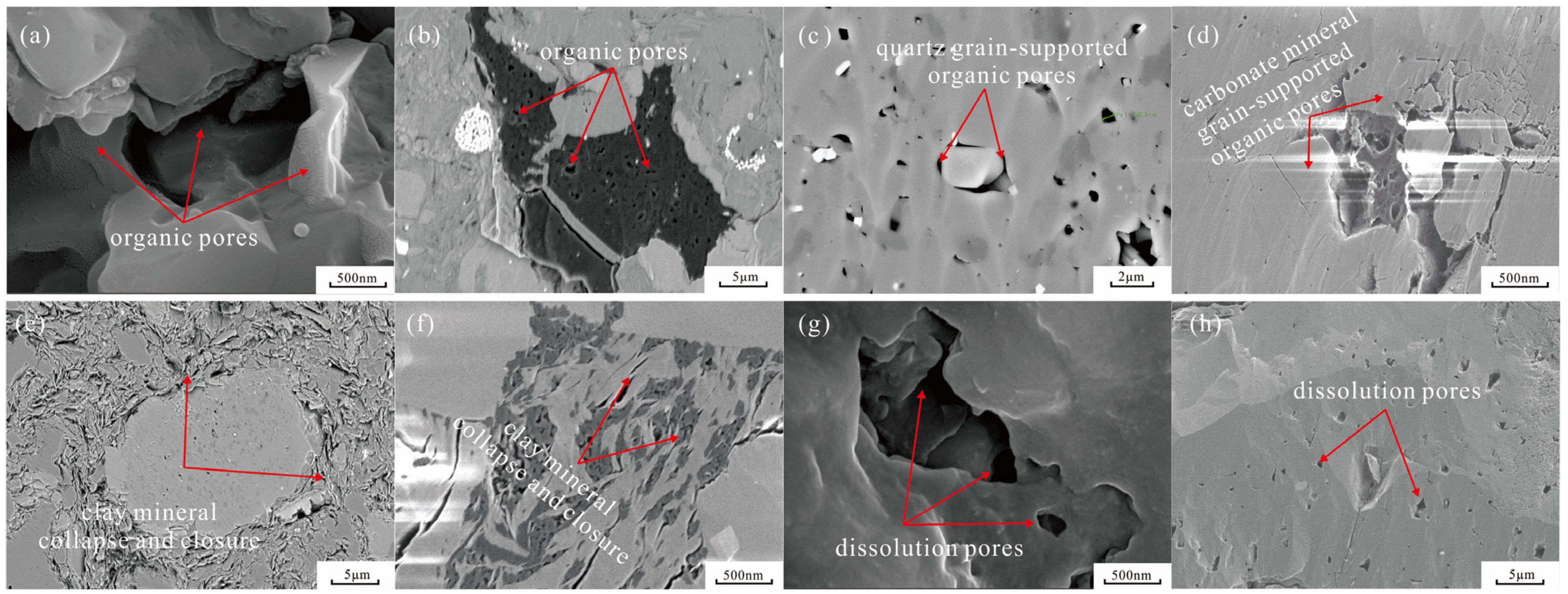 Control of Sedimentary Environment on Pore Structure and Its Evolution ...