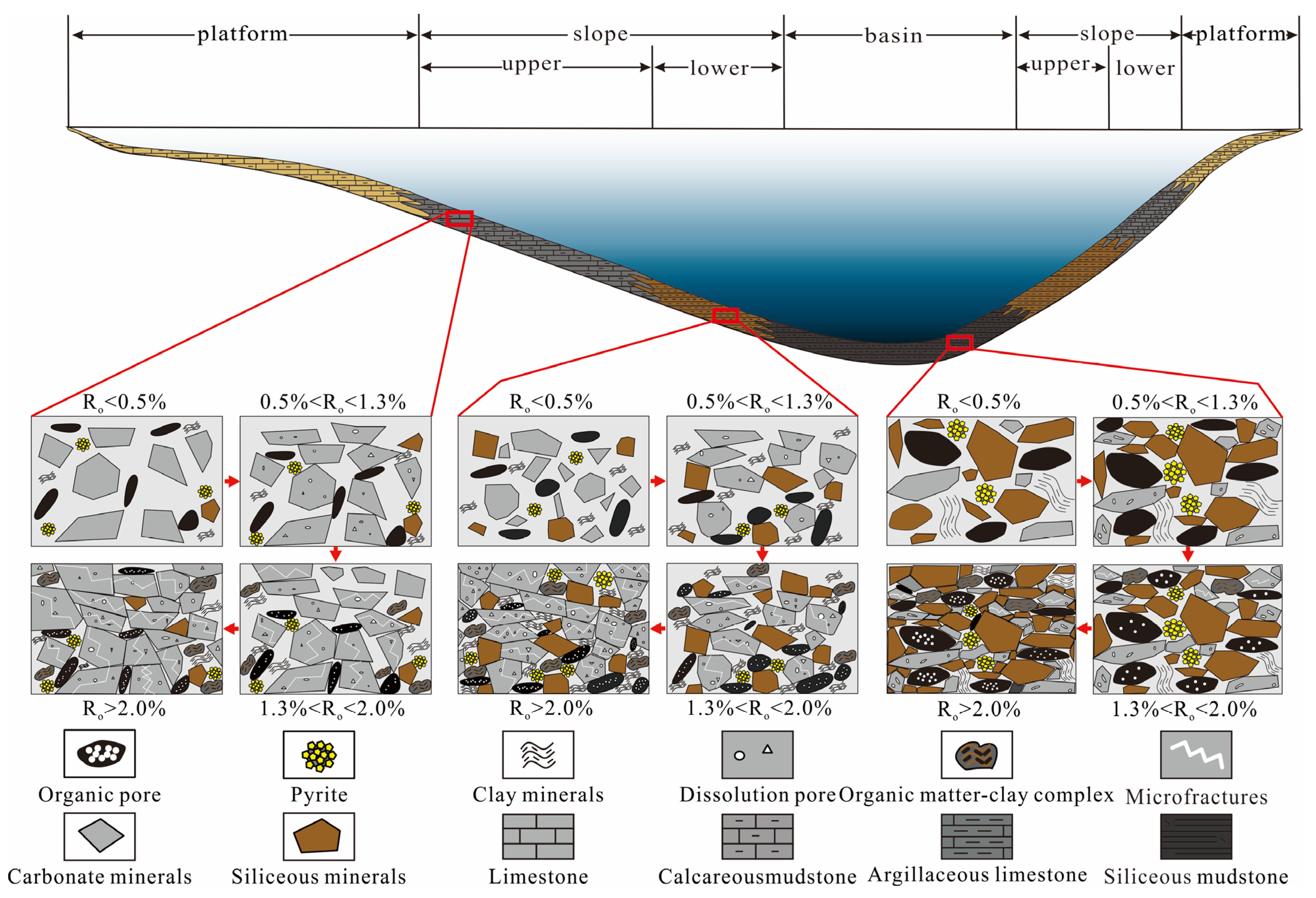 Control of Sedimentary Environment on Pore Structure and Its Evolution ...