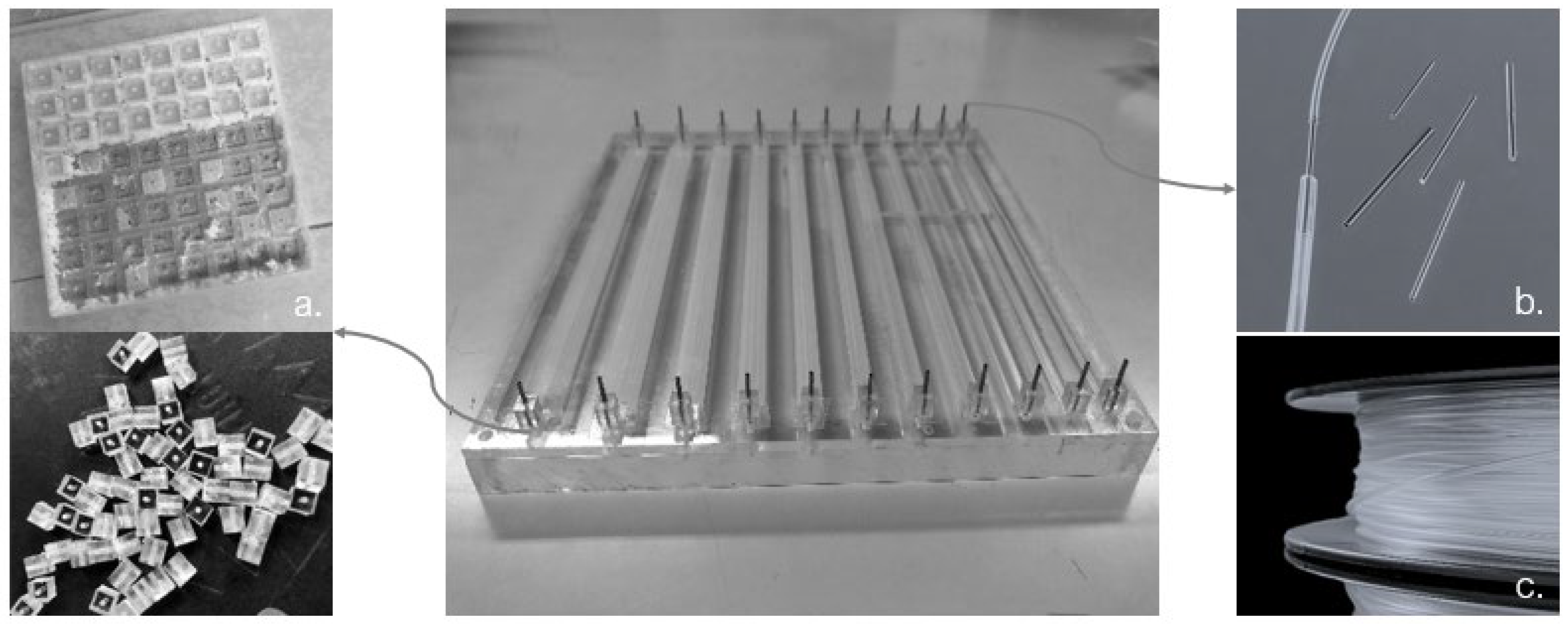 Insights into the Precipitation of Biocement Minerals Using ...