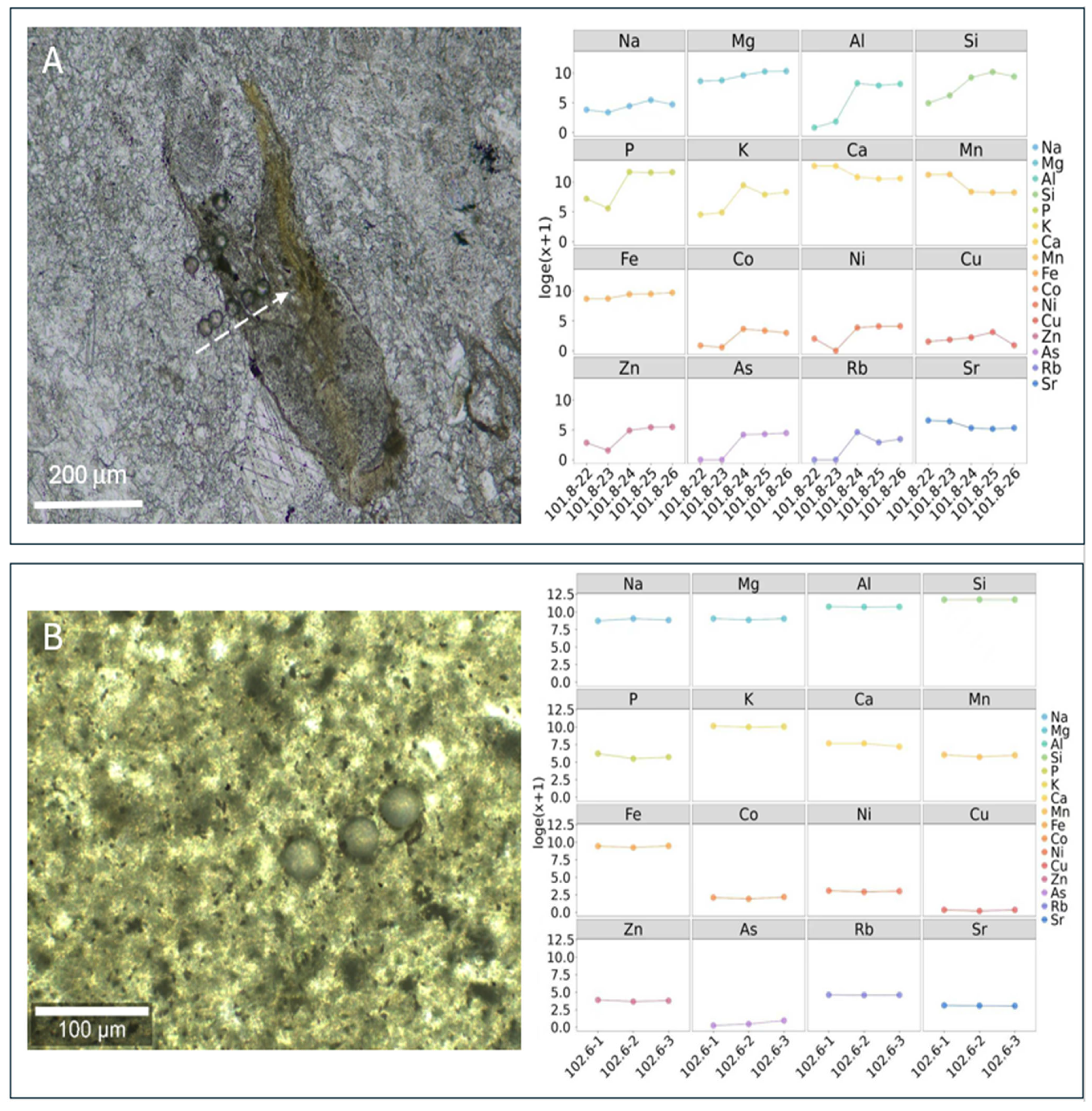 A Multi-Analytical Approach to the Study of Phosphatic Materials from ...