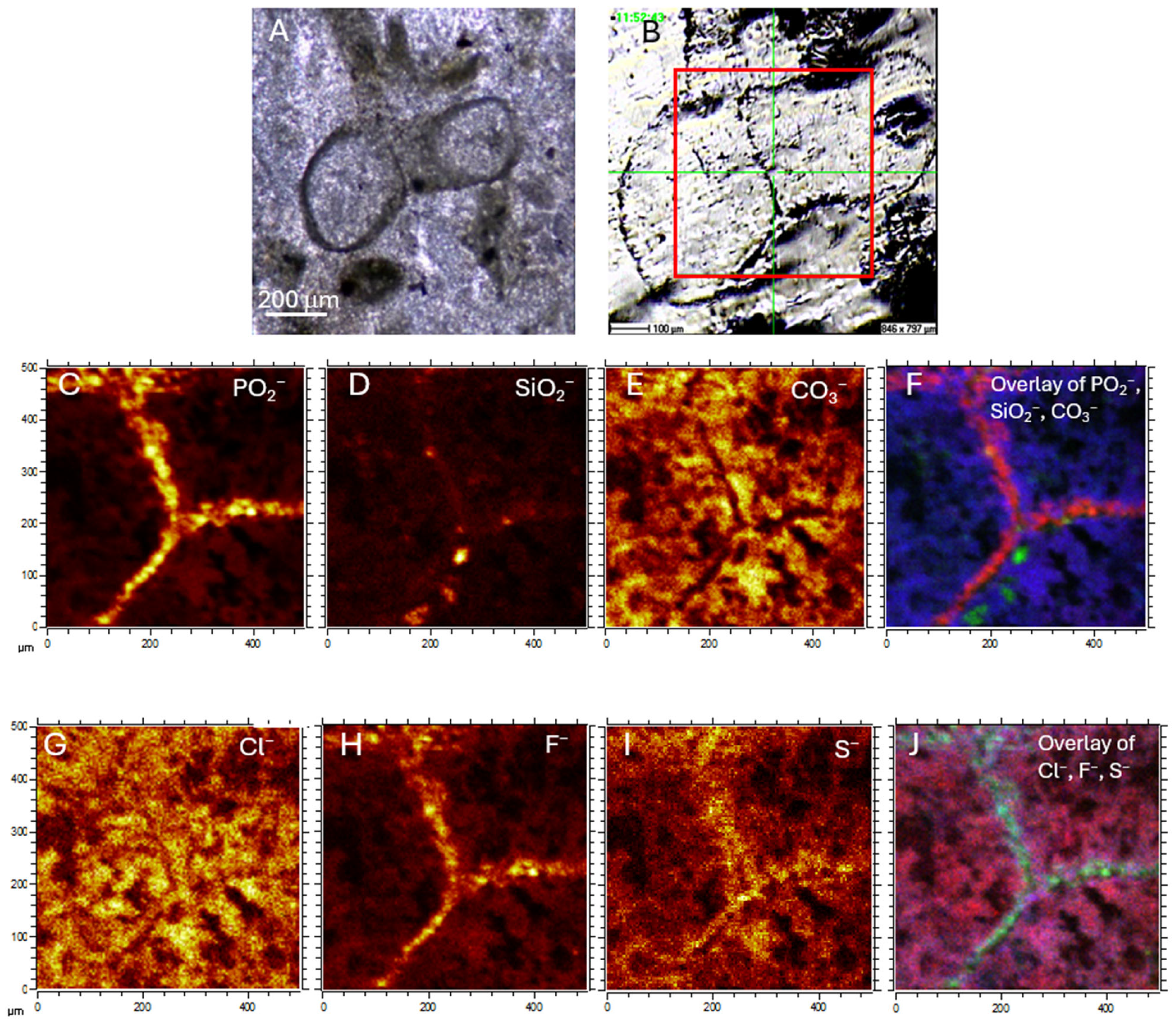 A Multi-Analytical Approach to the Study of Phosphatic Materials from ...