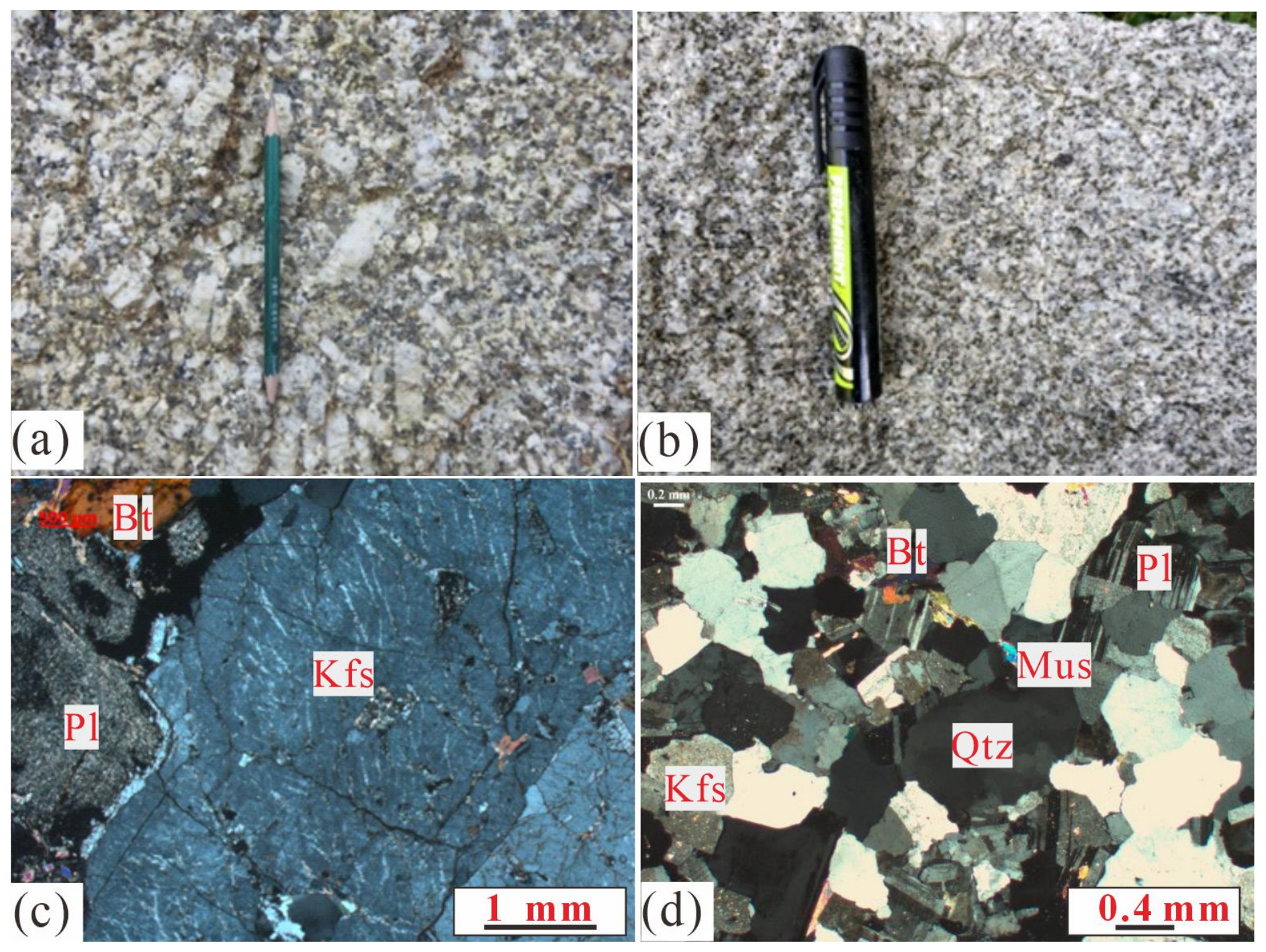 Petrogenesis and Uranium Metallogenic Fertility of Triassic ...