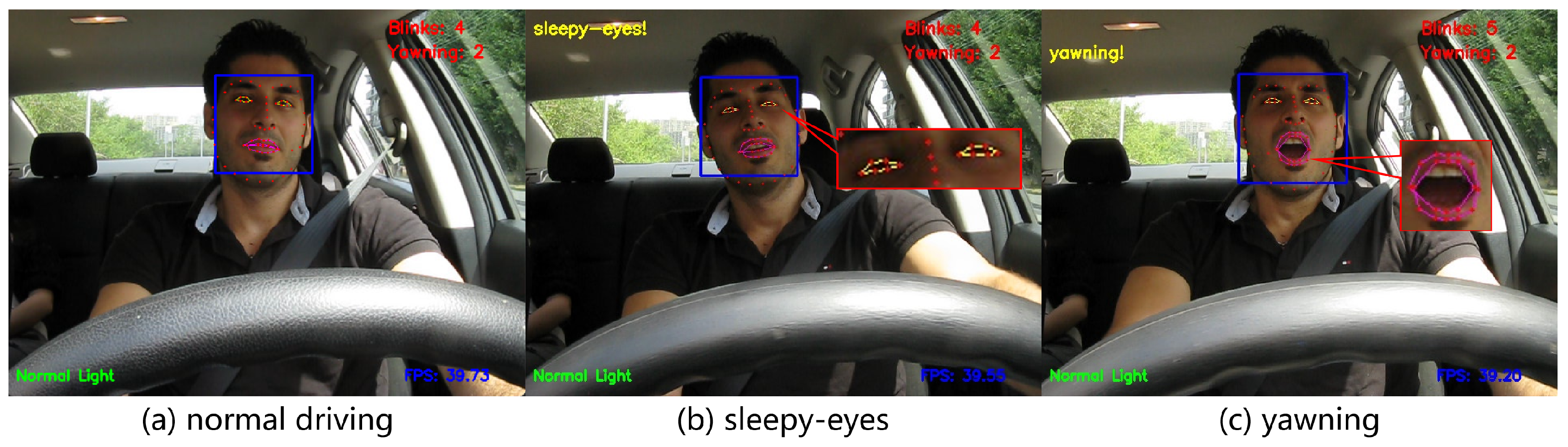 Nighttime Driver Fatigue Detection Based on Real-Time Joint Face and ...
