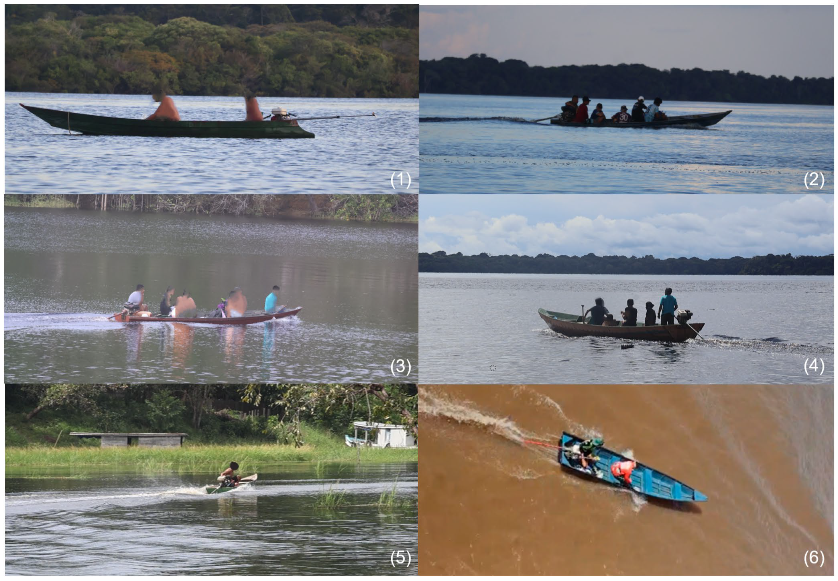 Towards Sustainable Inland Transport in the Brazilian Amazon ...