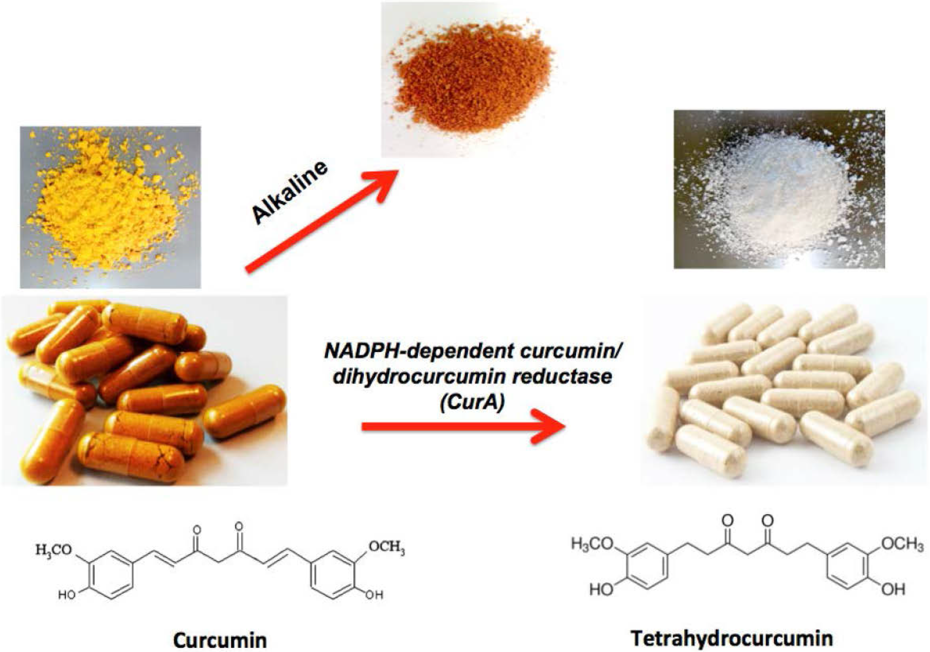 Curcumin Differs from Tetrahydrocurcumin Curcumin Differs from Tetrahydrocurcumin
