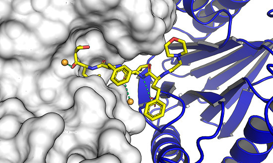 Molecules | Free Full-Text | Molecular Docking and Structure-Based 