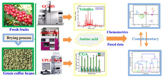 Molecules | Free Full-Text | Characterization of Fatty Acid, Amino 