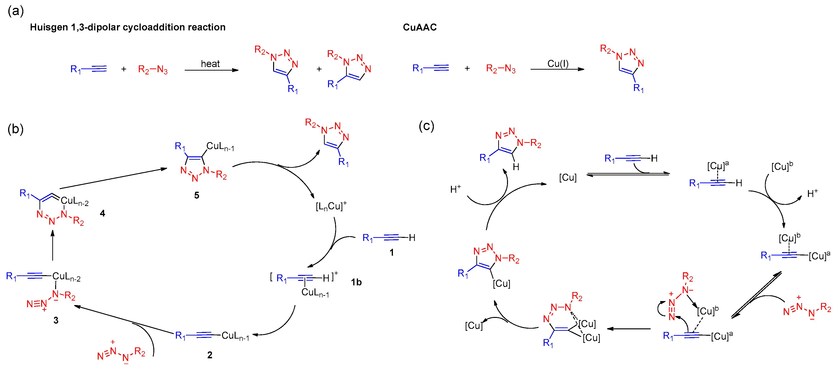Molecules Free Full Text Development And Applications Of The Copper