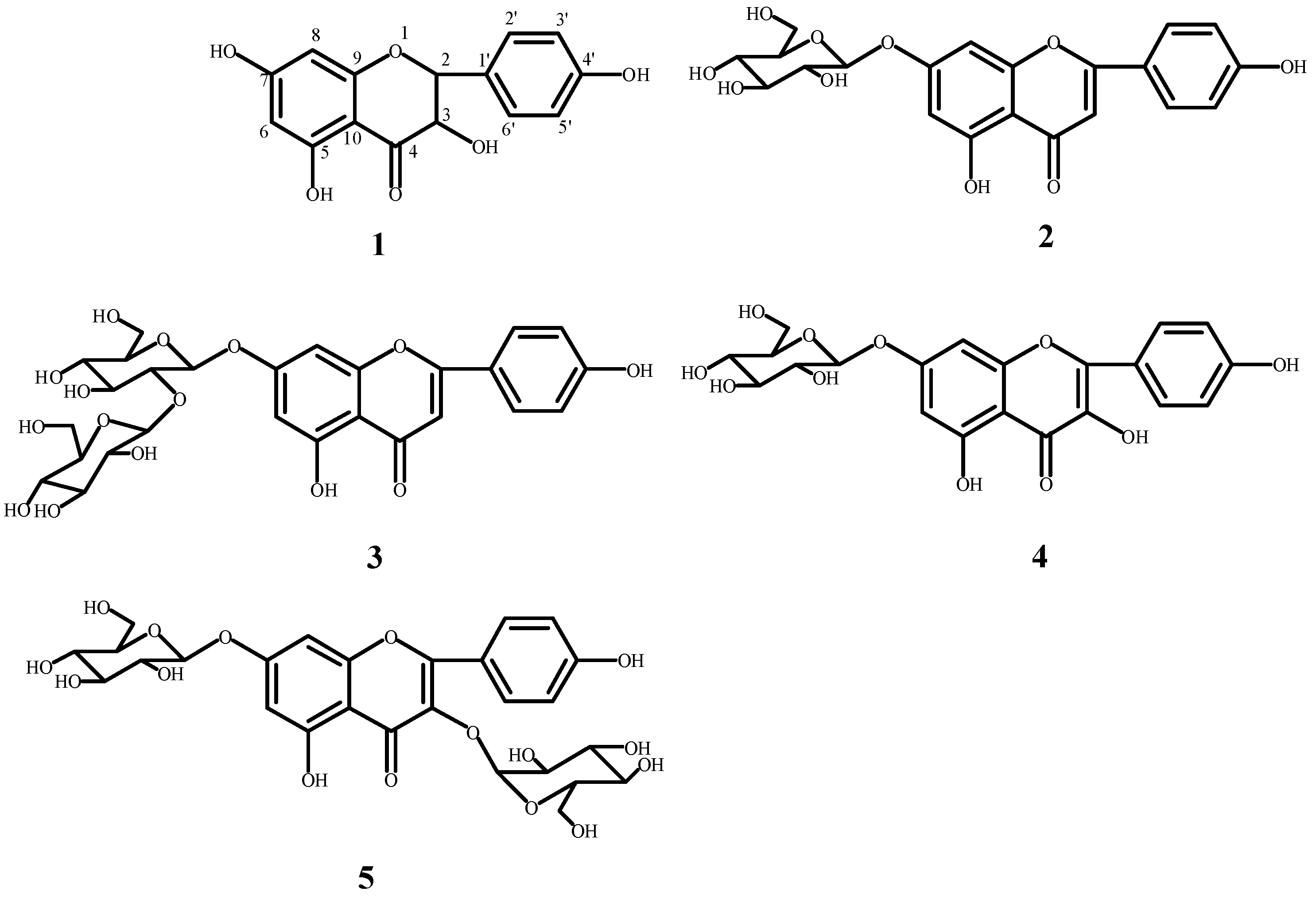 Morphology of P. ostii fruit and seeds. Figure 2-1 Peony fruit, shows