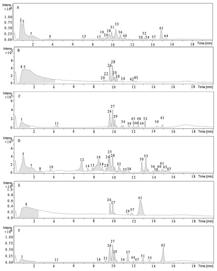 Nutritional Composition and Antioxidant Properties of the Fruits of a