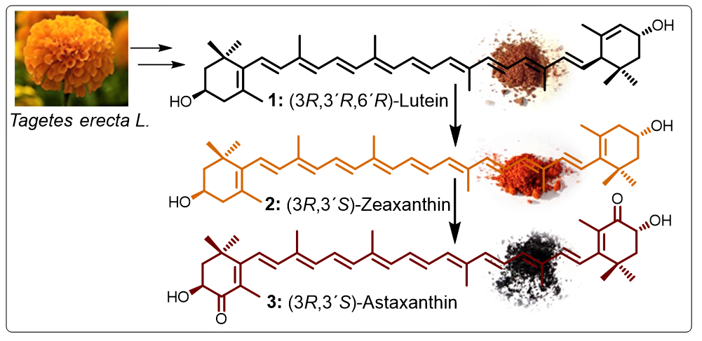 Molecular Structure and Antioxidant Properties Molecular Structure and Antioxidant Properties
