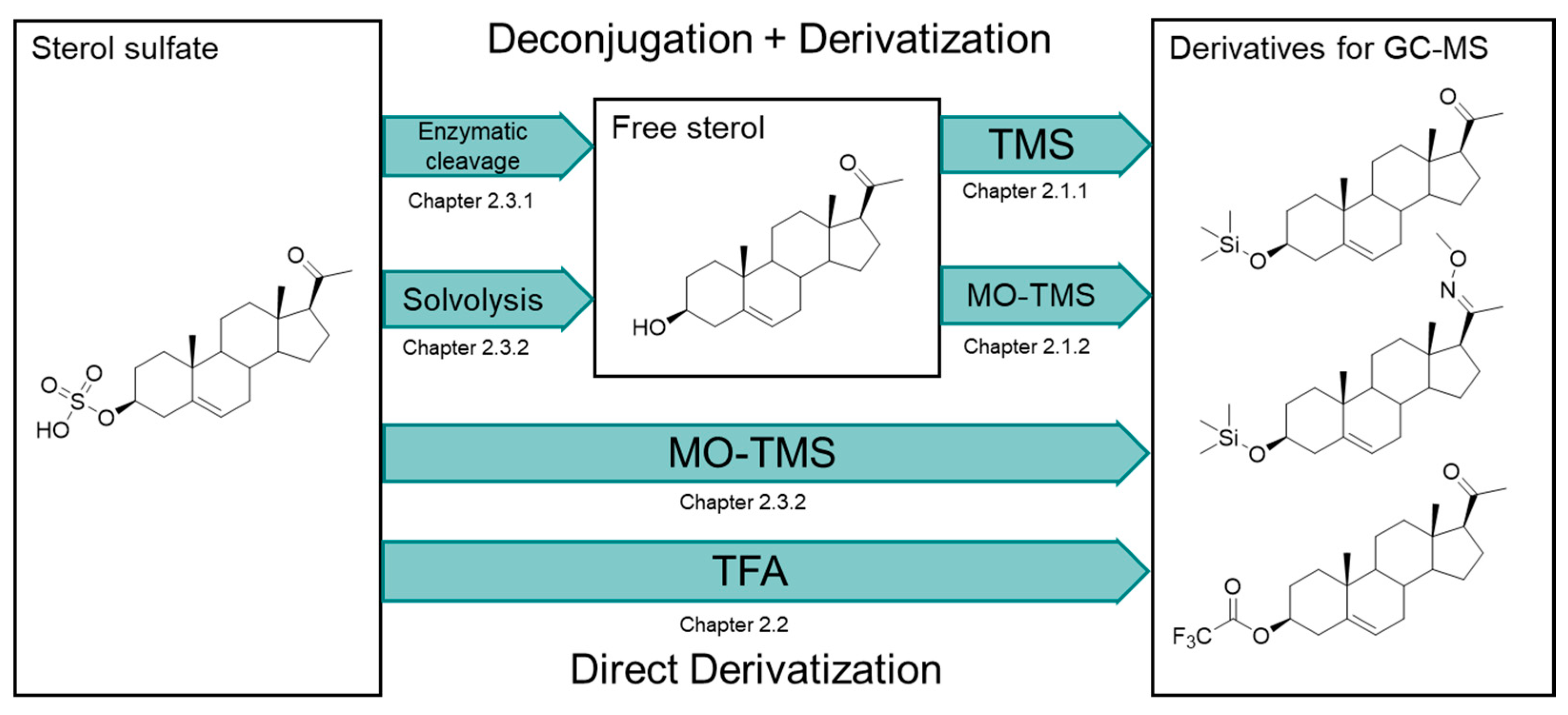Derivatized versus non-derivatized LC-MS/MS techniques for the