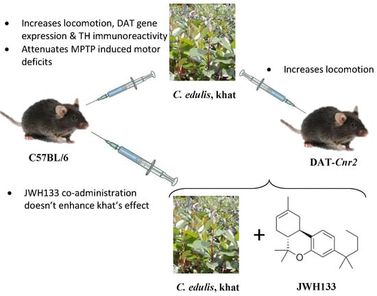 Ass revidere Destruktiv Molecules | Free Full-Text | Involvement of CB2 Receptors in the  Neurobehavioral Effects of Catha Edulis (Vahl) Endl. (Khat) in Mice