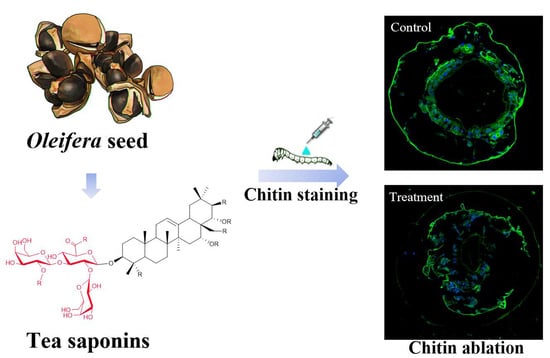 Tea Saponin Liquid manufacturer Tea Saponin Liquid manufacturer