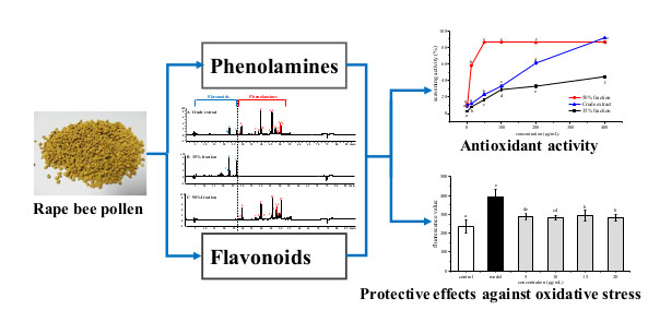 Molecules | Free Full-Text | Separation and Characterization of  Phenolamines and Flavonoids from Rape Bee Pollen, and Comparison of Their  Antioxidant Activities and Protective Effects Against Oxidative Stress