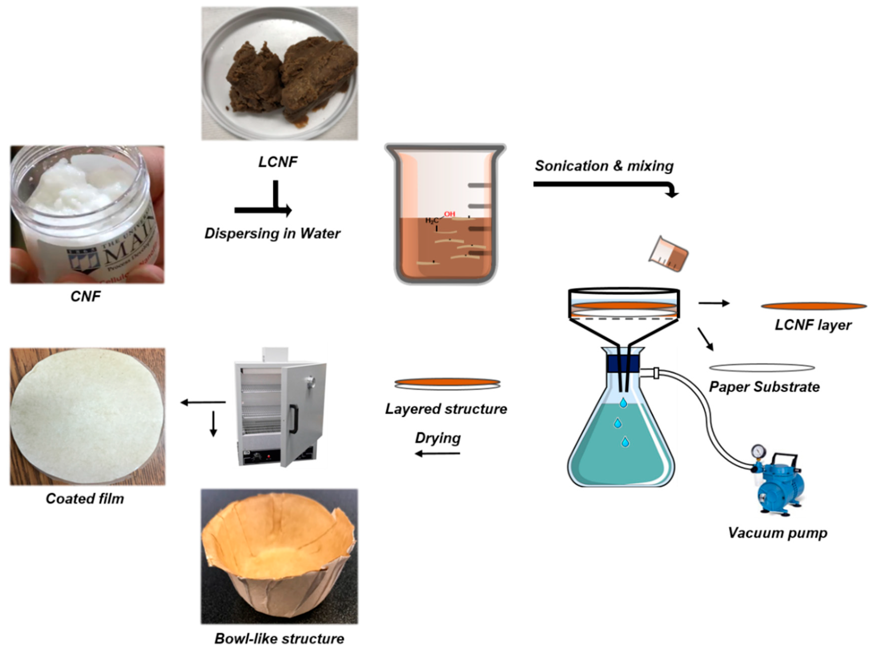 Molecules | Free Full-Text | Paper-Based Oil Barrier Packaging