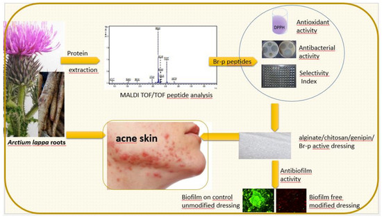 Great Burdock Fruit Extract apply in cosmetics Great Burdock Fruit Extract apply in cosmetics