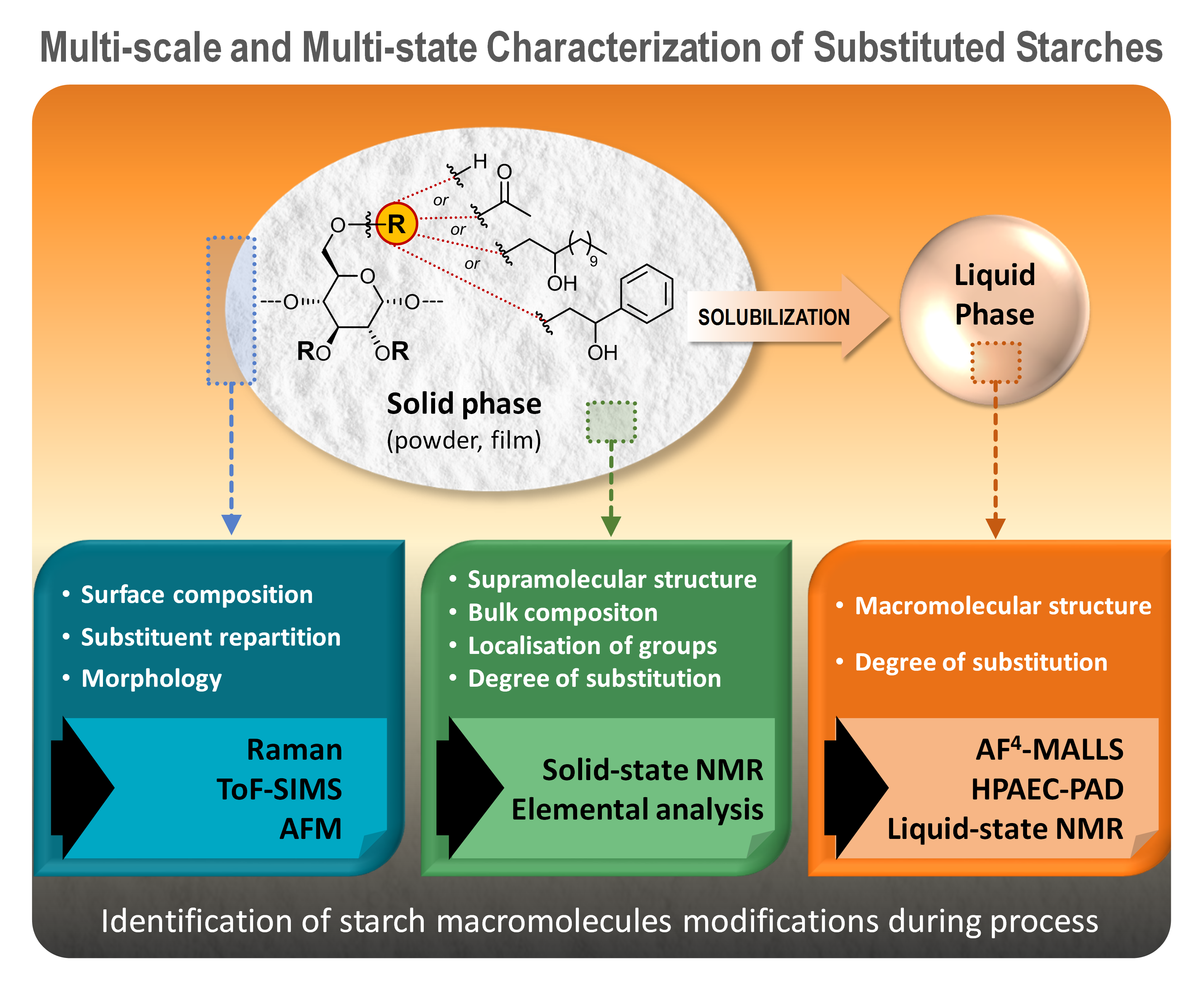 Chemical structure of starch macromolecule [37]