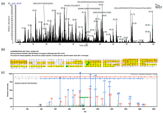 Biological Effects of Korean Red Ginseng Polysaccharides in Aged Rat Using  Global Proteomic Approach