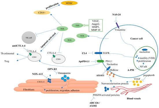 Molecules | Free Full-Text | Aptamers in Non-Small Cell Lung Cancer ...