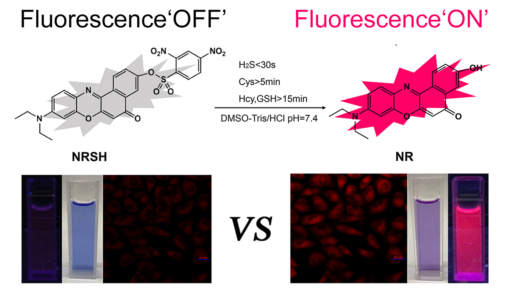 Development of a Near-Infrared Fluorescent Probe Based on Nile Red for ONOO–  and Its Imaging Applications