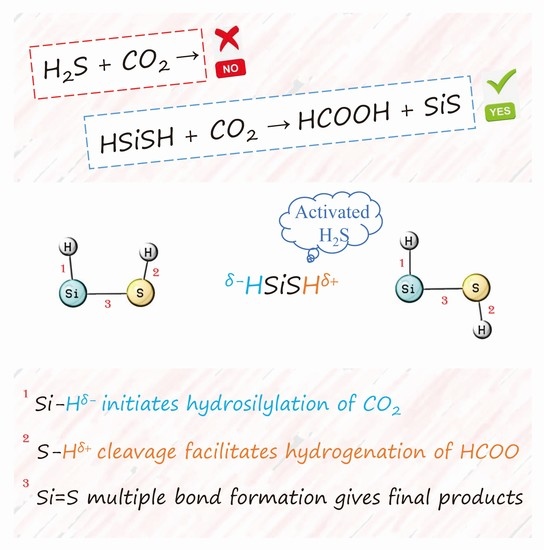 Molecules | Free Full-Text | Hydrogenation of CO2 Promoted by 