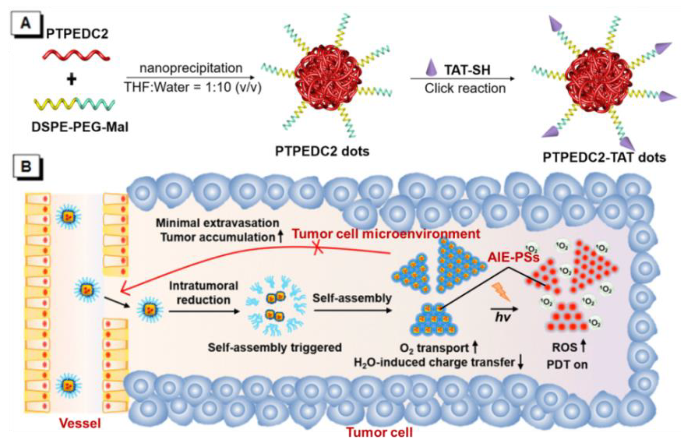 Mitochondrion‐Anchoring Photosensitizer with Aggregation‐Induced Emission  Characteristics Synergistically Boosts the Radiosensitivity of Cancer Cells  to Ionizing Radiation - Yu - 2017 - Advanced Materials - Wiley Online  Library