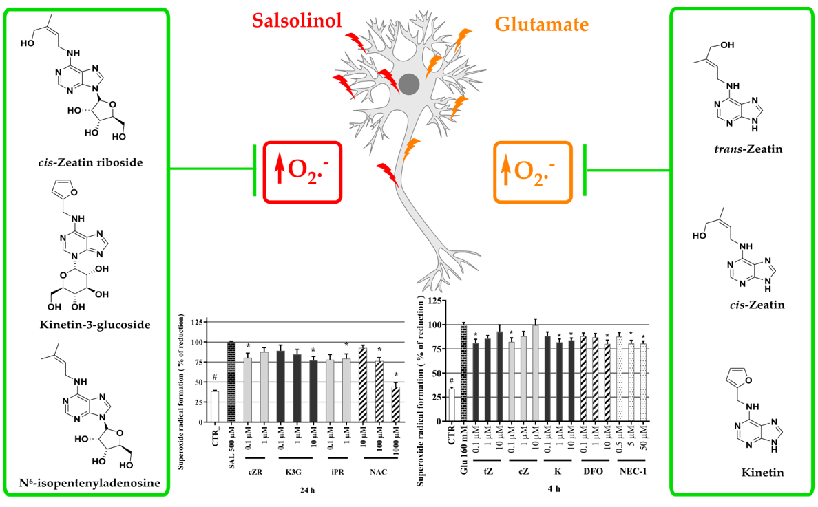 PDF) Salsolinol: an Unintelligible and Double-Faced Molecule—Lessons  Learned from In Vivo and In Vitro Experiments