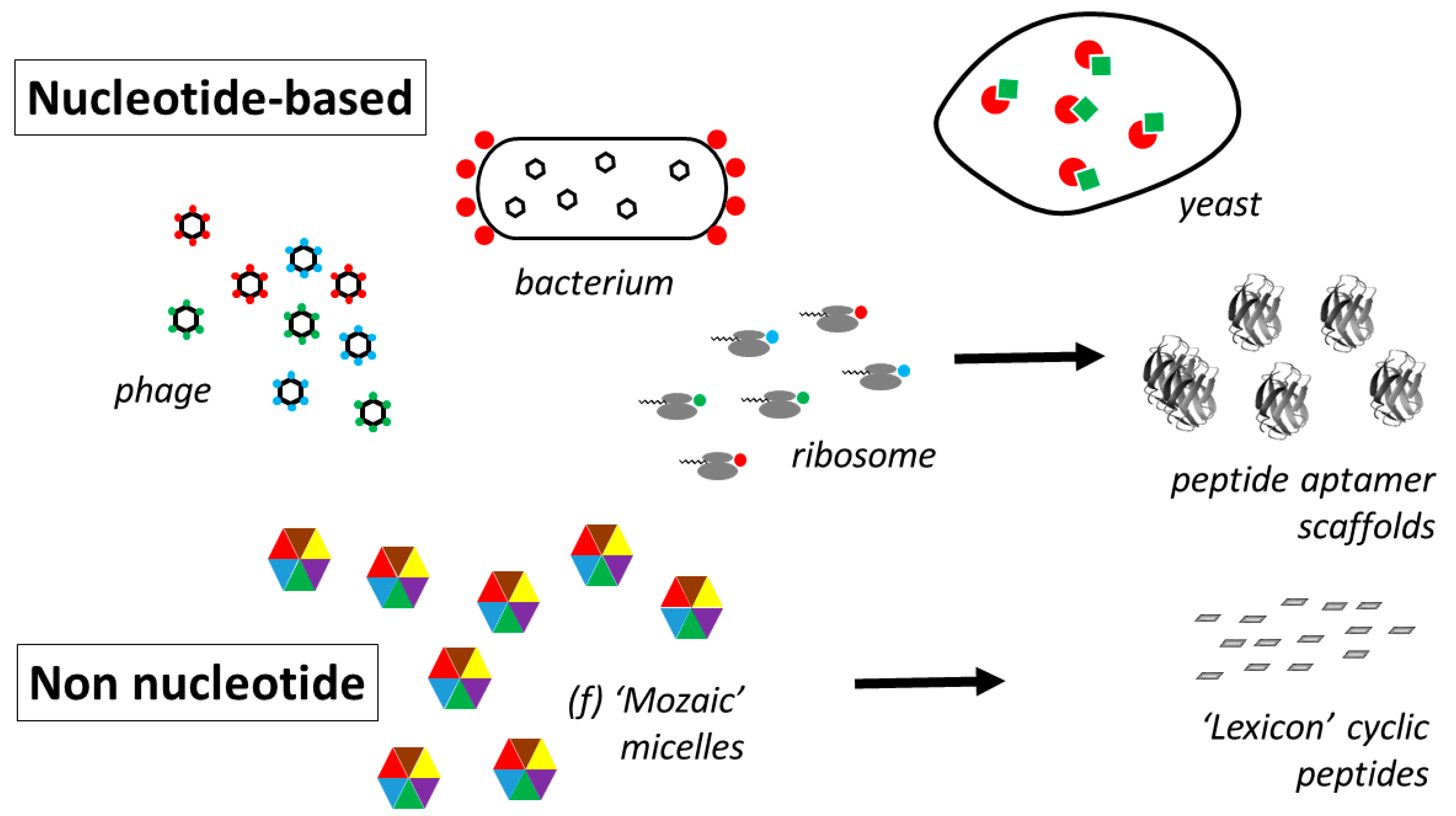 Solid phase peptide synthesis utilizing 9‐fluorenylmethoxycarbonyl amino  acids - FIELDS - 1990 - International Journal of Peptide and Protein  Research - Wiley Online Library