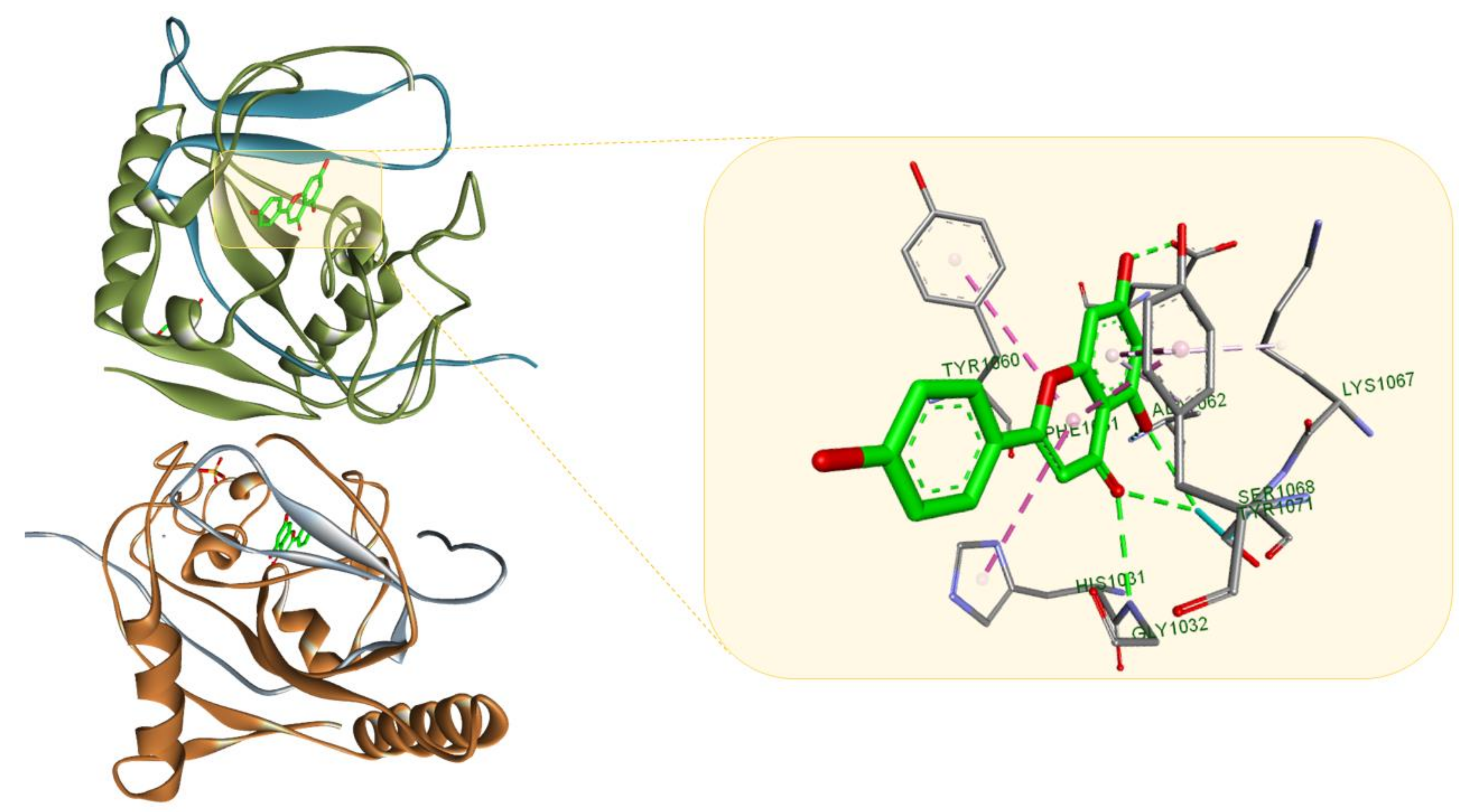 Molecules | Free Full-Text | Plant-Derived Anticancer Compounds as 