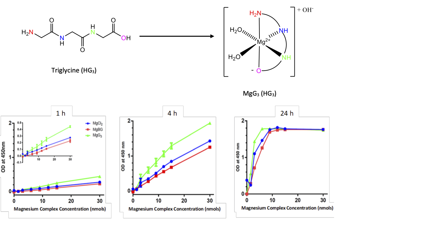 Chelated Magnesium Oxide Absorption At Jade Stainforth Blog Chelated Magnesium Oxide Absorption At Jade Stainforth Blog