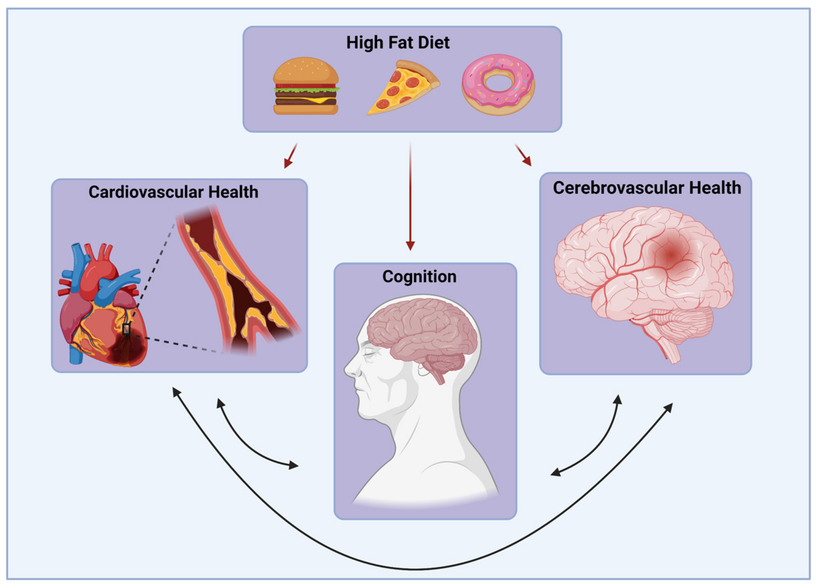 Independent Aftereffects of Fat and Muscle: Implications for neural  encoding, body space representation, and body image disturbance