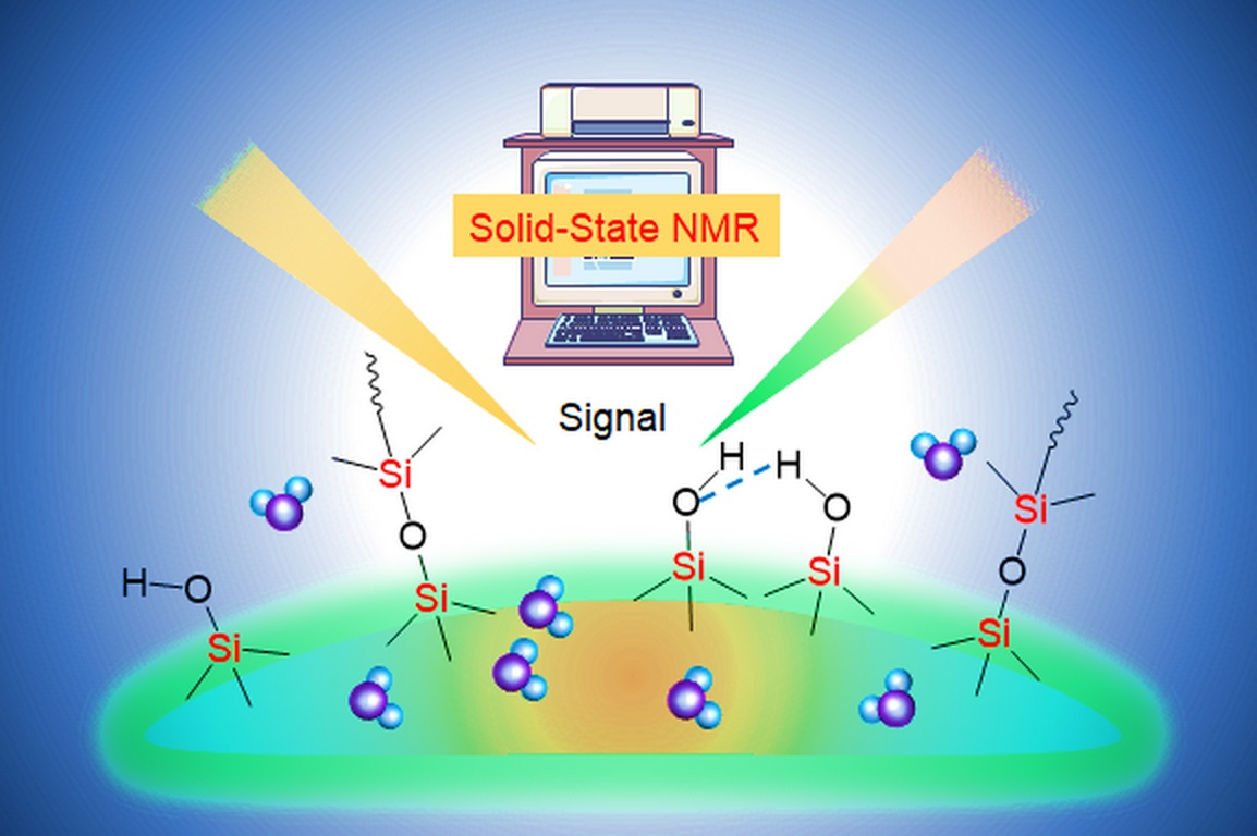 Sponge enzyme could help chemists make organosiloxanes