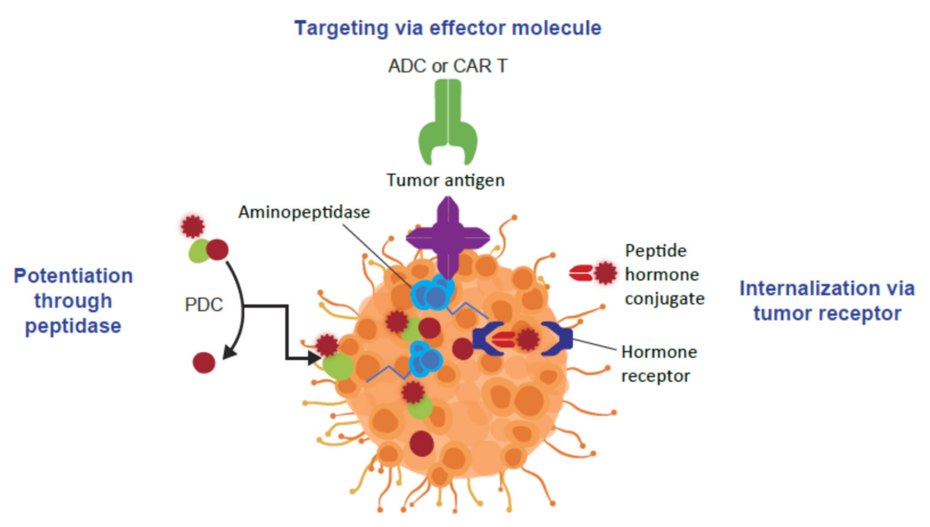 Molecules Free Full Text Progress And Future Directions With 