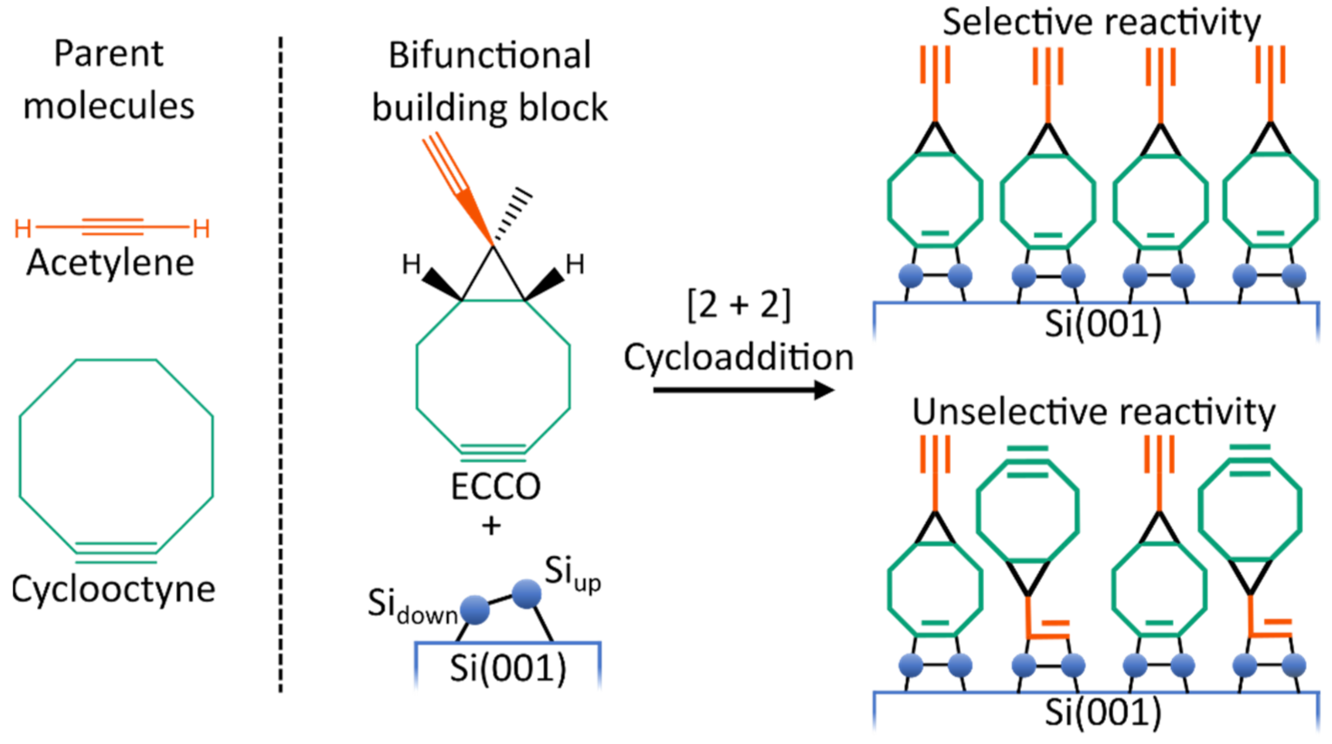 Molecules | Free Full-Text | Alkyne-Functionalized Cyclooctyne on Si(001): Reactivity Studies and Surface Bonding an Energy Decomposition Analysis Perspective