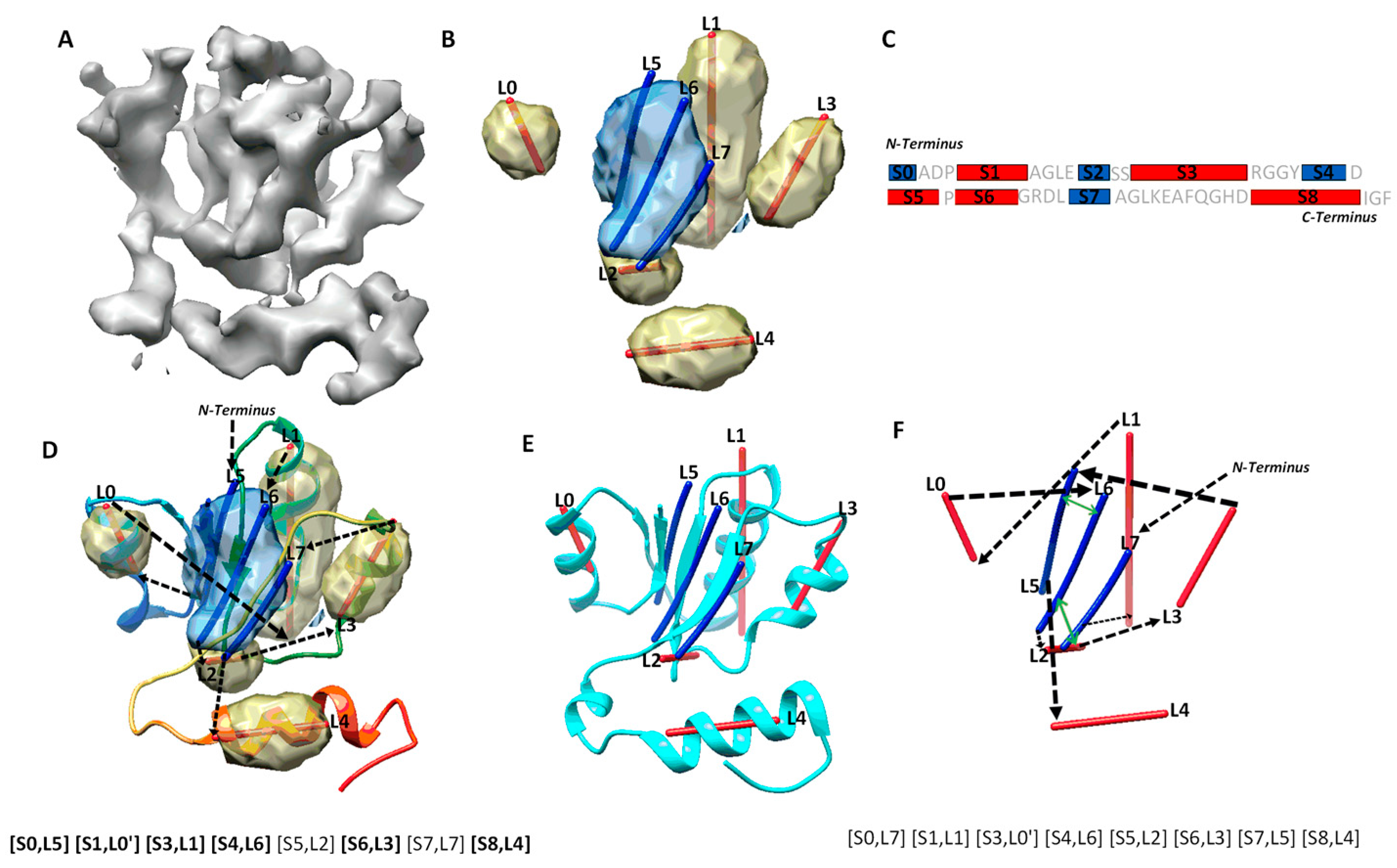 A Cryo-EM Method for Near-atomic Structures in the Intricate Networks
