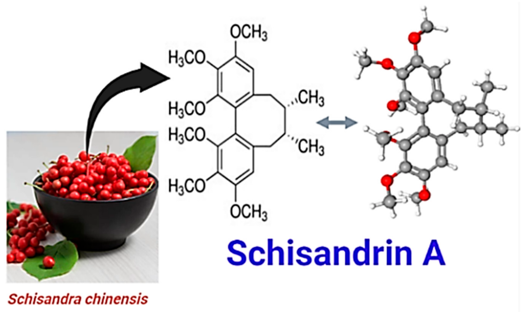 Extraction of schisandrin A Extraction of schisandrin A