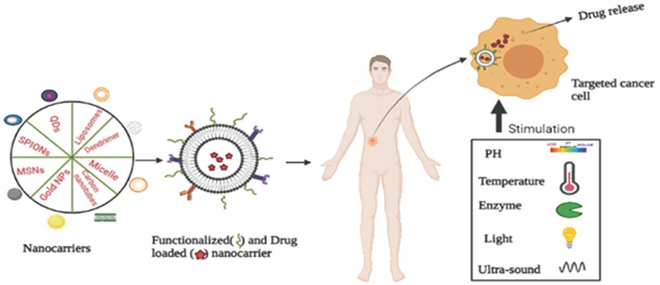 Smart nanoparticles for cancer therapy  Signal Transduction and Targeted  Therapy