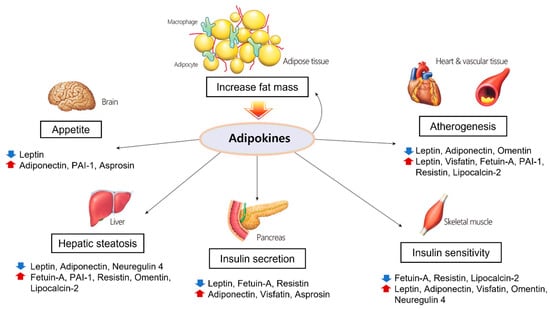 Molecules | Free Full-Text | The Roles And Associated Mechanisms Of ...