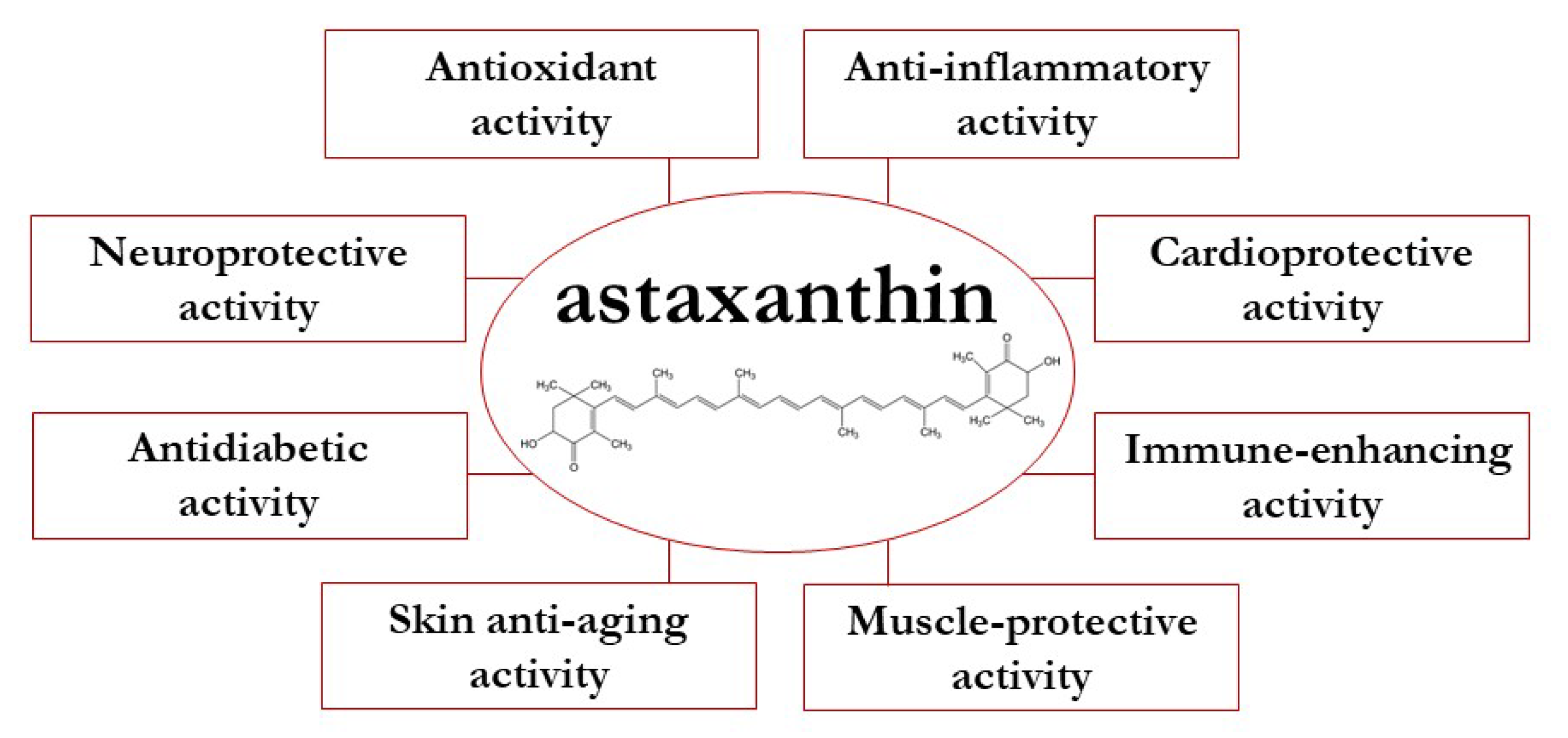 Synergistic Effects and Practical Applications Synergistic Effects and Practical Applications