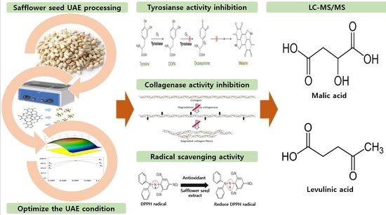 Bioactive Compounds In Safflower Seed Extract Powder Bioactive Compounds In Safflower Seed Extract Powder