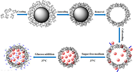 Molecules | Free Full-Text | Controlled Release of Insulin Based on ...